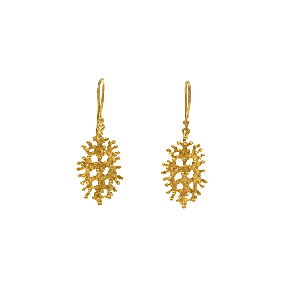 Earrings Save the Coral Reefs