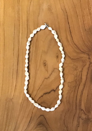 
                  
                    Load image into Gallery viewer, Necklace Shell Cowrie 1
                  
                
