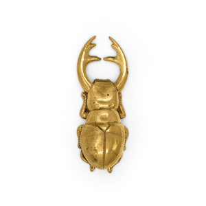 
                  
                    Load image into Gallery viewer, Bottle Opener Atlas Beetle
                  
                