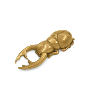 
                  
                    Load image into Gallery viewer, Bottle Opener Atlas Beetle
                  
                
