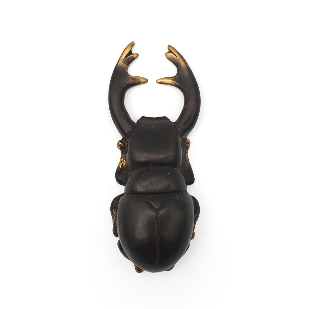 
                  
                    Load image into Gallery viewer, Bottle Opener Atlas Beetle
                  
                