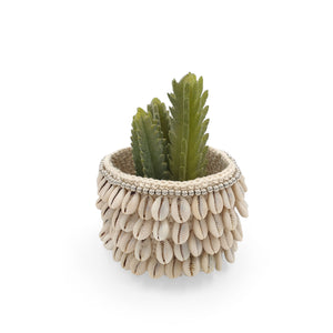 
                  
                    Load image into Gallery viewer, Crochet basket Cowrie Shells 4 lines
                  
                