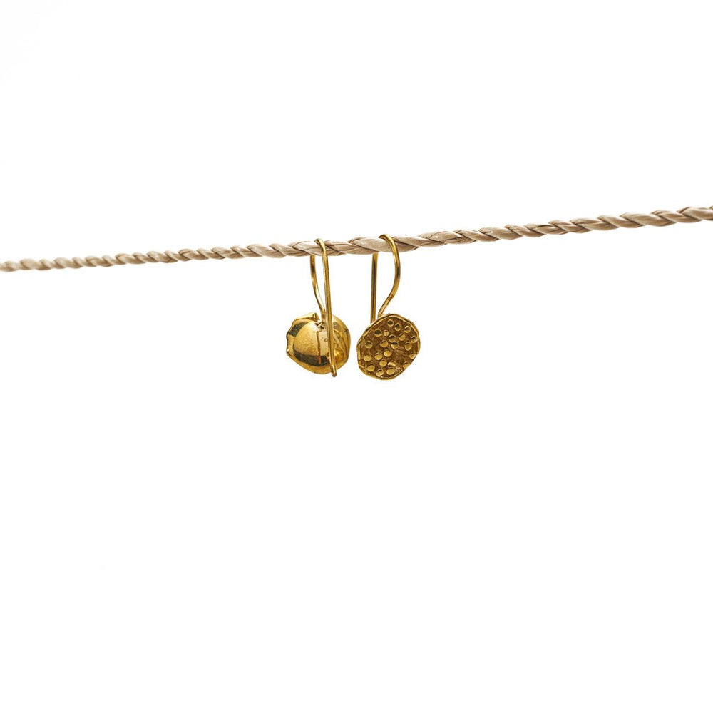 
                  
                    Load image into Gallery viewer, Earring Lotus Seed Flower Hook Brass Gold
                  
                