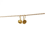 Earring Lotus Seed Flower Hook Brass Gold