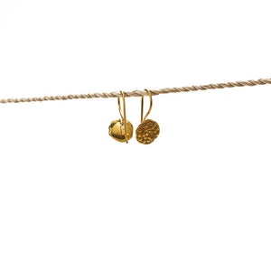 
                  
                    Load image into Gallery viewer, Earring Lotus Seed Flower Hook Brass Gold
                  
                