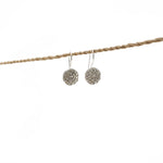 Earring Lotus Seeds Hook Silver Plated