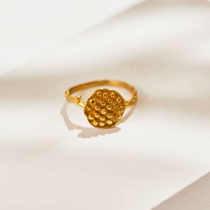 
                  
                    Load image into Gallery viewer, Ring Flower Lotus Seeds
                  
                