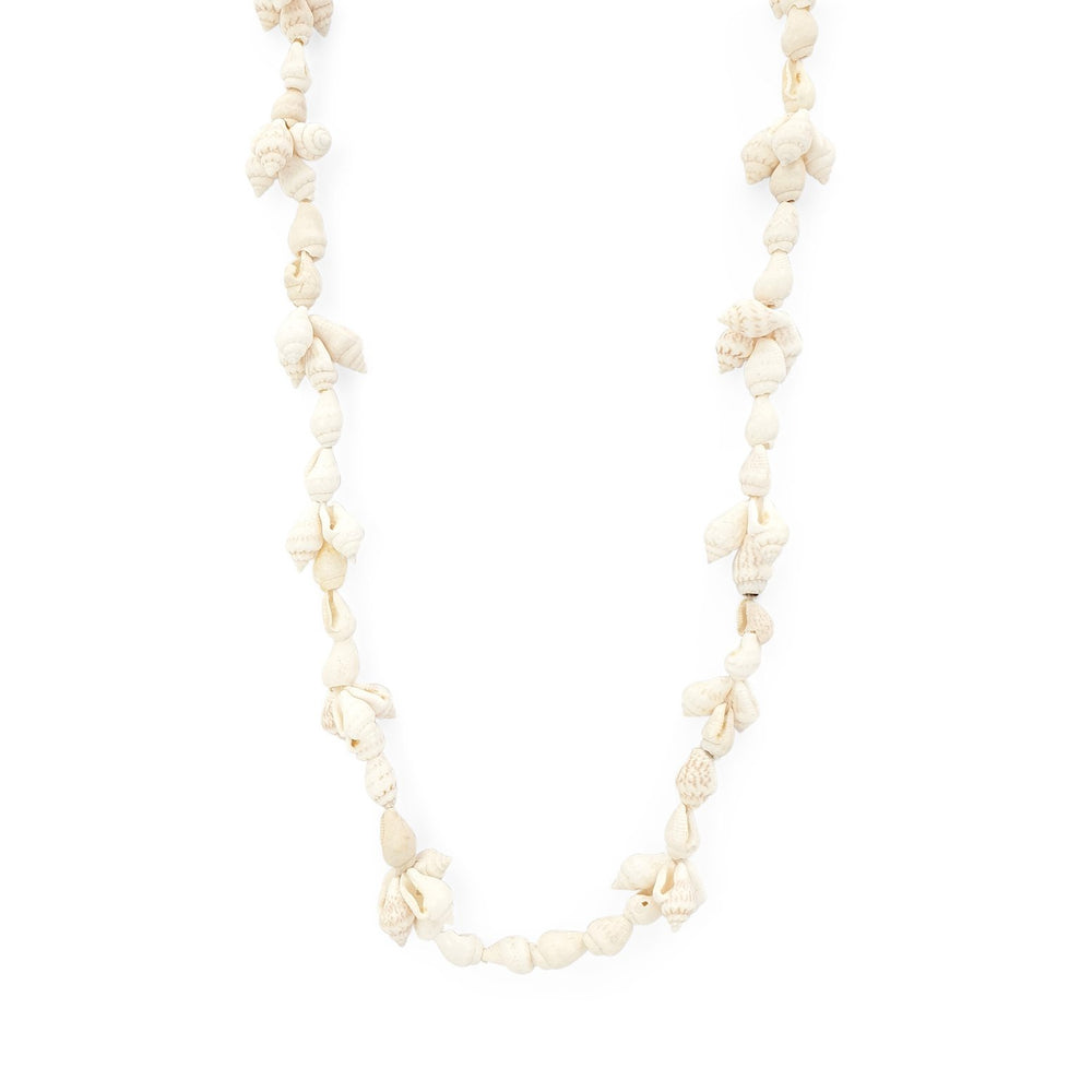
                  
                    Load image into Gallery viewer, Necklace Shell Cowrie 1
                  
                