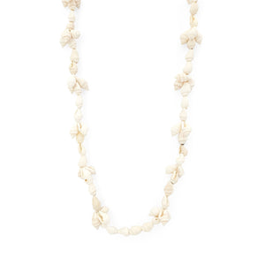 
                  
                    Load image into Gallery viewer, Necklace Shell Cowrie 1
                  
                