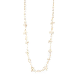 
                  
                    Load image into Gallery viewer, Necklace Shell Cowrie 1
                  
                
