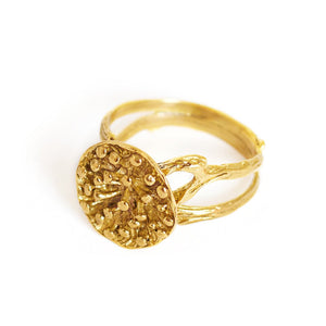 
                  
                    Load image into Gallery viewer, Ring Lotus Seeds Big Gold
                  
                