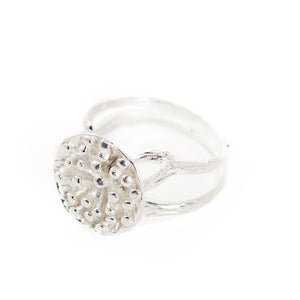 
                  
                    Load image into Gallery viewer, Ring Lotus Seeds Big Silver
                  
                