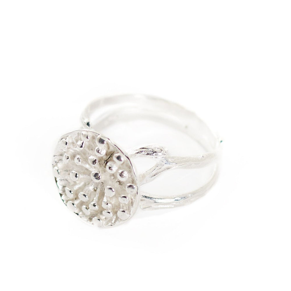 
                  
                    Load image into Gallery viewer, Ring Lotus Seeds Big Silver
                  
                